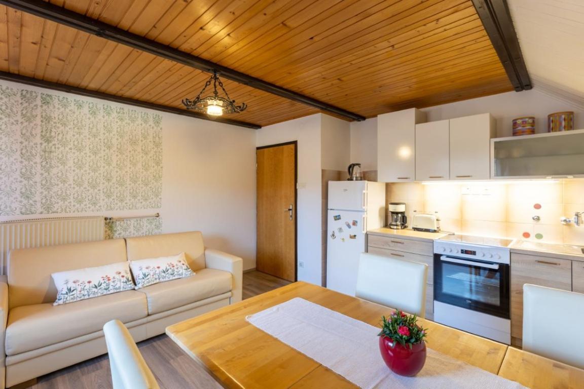 Apartment And Room Mateja Kovacic ボーヒニ エクステリア 写真